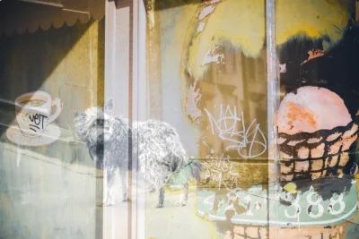 "Street Dreams" by Richard Spang