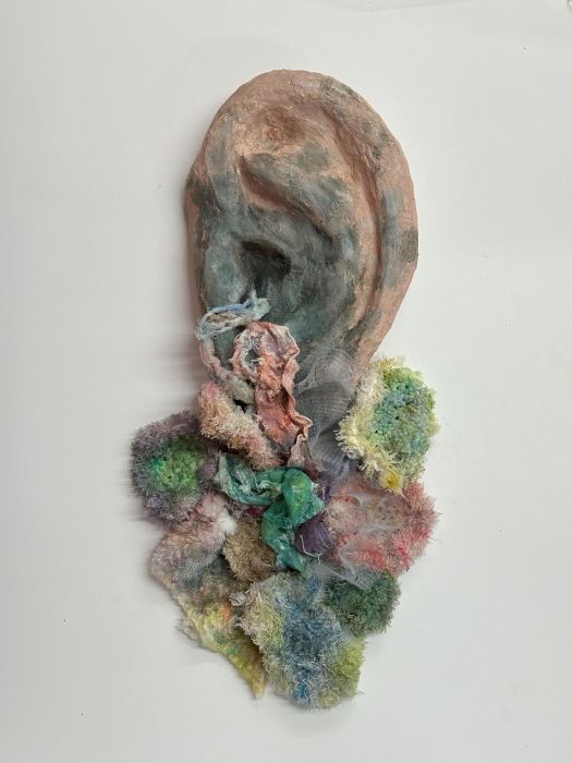 "Ear" by Sophia Park