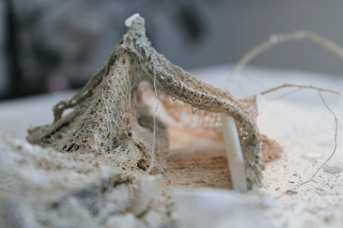 "Place to Hide" by Anna Major