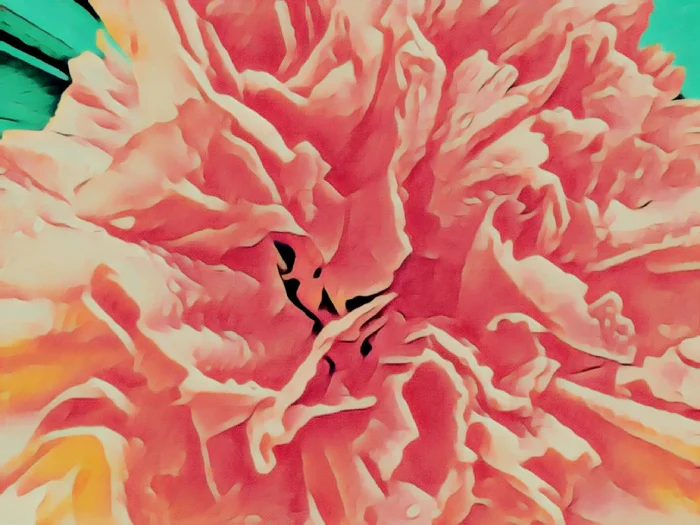 "Carnations Like Pastels" by Tinamarie Cox