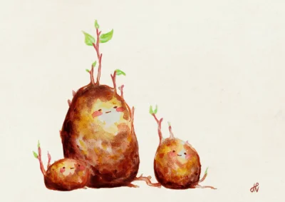 "Potato" by Hana Nekrep