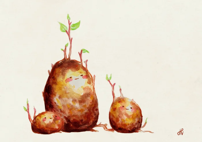 "Potato" by Hana Nekrep