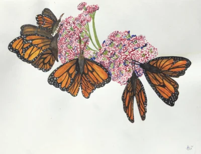 "Monarchs" by Atzin Garcia
