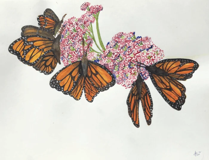 "Monarchs" by Atzin Garcia