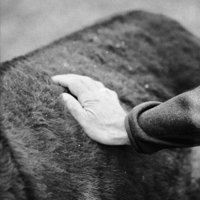 "Balthazar" by Clemens Braun