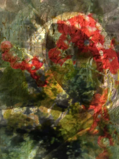 "Heavy Balloon" by Taylor Daukas