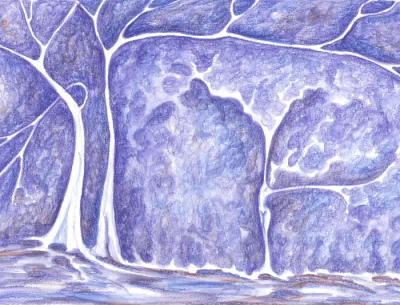 "Elementals drawing" by Audrey Holmes